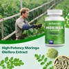 Zhibenon Moringa Oleifera 21,000mg Equivalent | 200 Capsules (100 Servings)
