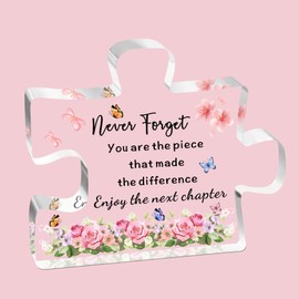 SDOFY Leaving Gifts for Women Colleagues New Job Gifts for Colleagues Friend Nurses Teacher Retirement Gifts for Women Sorry Your Leaving Gifts Acrylic Plaque Leaving Gift