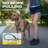 Fida 2-in-1 Slip Leads for Dogs with Double Handles, Tangle