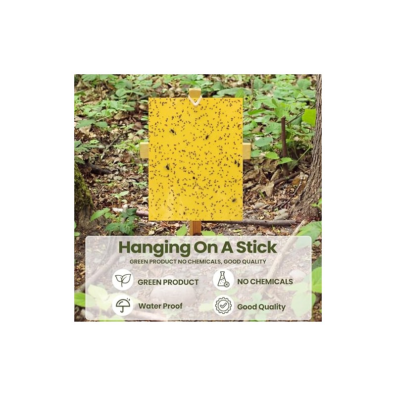 Qualirey Yellow Sticky Traps for Indoor & Outdoor Plants