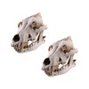 Resin Wolf Skull Wolf Skull Model Decoration Craft Film Props