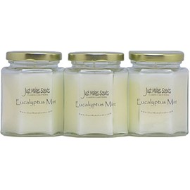 3 Pack - Eucalyptus Mint Scented Candles | Fresh Spearmint and Relaxing Eucalyptus Fragrance | Hand Poured in The USA by Just Makes Scents
