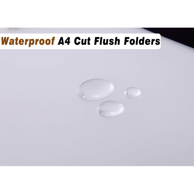 A4 Cut Flush Folder (Pack of 30, 180 Micron PP)