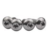 Ruifu Bicycle Bottle Cage Titanium Alloy Bolts ISO7380 M5x8mm M5x10mm