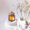 MATIN MARTIN Jameela - Luxury Arabian Perfume for Women -