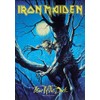 Iron Maiden Fear Of The Dark Live Flag