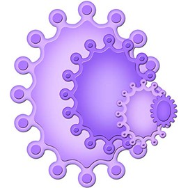 Spellbinders Nestabilities Decorative Elements Dies, Crowned Ovals