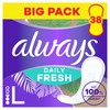 Always Daily Fresh Pantiliners Long with 100% Plant-Based Fibres, Pack