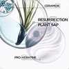 Kérastase Résistance Ciment Thermique, Leche Reconstructora y Protector Térmico hasta