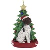 German Shorthaired Pointer With Resin Christmas Tree Ornament For Personalization