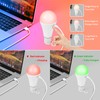 2 Pack 5200mAh Rechargeable Light Bulbs with Remote E26 Battery
