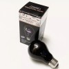 Momentum Brands 3 Pack BLACK LIGHT Bulbs A19 120V 75W