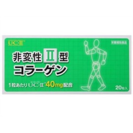 Ryusendo Non-Denatured Type II Collagen, 20 Capsules