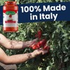 La San Marzano Marinara Sauce, 24 oz, Pasta Sauce Made