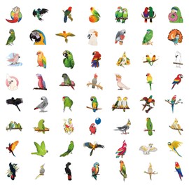 50PCS Colourful Parrots for Water Bottle Laptop Phone Skateboard Luggage Bike Computer Guitar Scrapbook Car Refrigerator Helmet，Cartoon Animal Waterproof Decals for Kids Teens Adults
