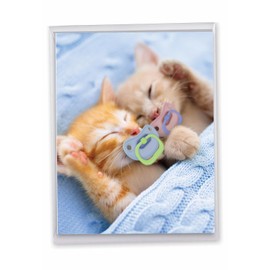 The Best Card Company - Cute Pet Happy Birthday Greeting Card with Envelope (Extra Large 8.5 x 11 Inch) - Cat Pacifiers Kittens J9171ABDG-US