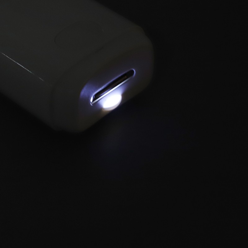 2 In 1 Electric Nail Clipper with Light Grinding Discs