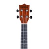Kadence Concert Ukulele 23" Spring Summer Collection of Ukuleles- Matt