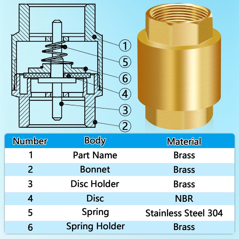 Boltigen Solid Brass Spring Check Valve, 2 Inch NPT Female