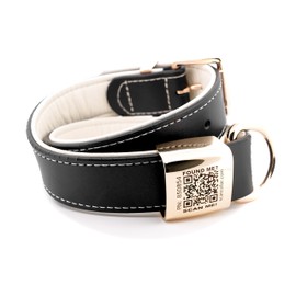 Pet Safety Duotone Genuine Leather Smart Collar with Location Tracking and Social Networking (Large, Black & Beige)