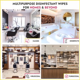 LUCAS-CIDE Disinfecting Wipes - Multi Surface Cleaner Disinfectant Wipes - Convenient Antibacterial Wipes For Cleaning Products - 1 Step Disinfectant Sanitizing Wipes - 160 Cleaning Wipes Travel Size