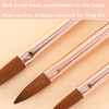 6 Pcs Acrylic Nail Brush Art Tools Set Size 8/10/14