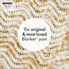 Bernat Blanket Tie Dye-Ish Lavender Yarn - 2 Pack of