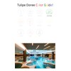 Tulip Dore Severe Regulating Lotion 100ml / 튤립도레 세버레귤레이팅 로션