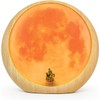 Moon Light Living Room,Decoration Night Light,DIY Ambient Light Anniversary Wedding
