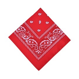 Paisley Bandana - Multifunctional Headwear for Outdoor Adventures 55x55cm - Perfect for Cycling, Hiking, Running, Yoga, Motorcycling, and More (Red)