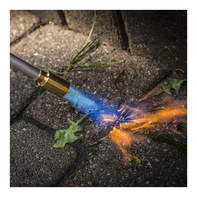 Bernzomatic Standard Propane Fuel Cylinder, Portable and Versatile for Torches,