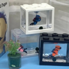 Modular Mini Aquarium for Fish & Marimo Cultivation Black 5ea