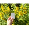 ReSPR SeLF Wearable Personal Ionizer Air Purifier for Indoor and