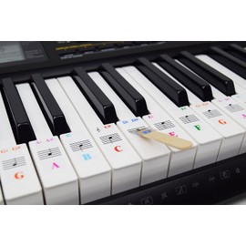 QMG Piano Stickers for 61-Key Keyboard, Color-Coded Notes, Visual Reference Tool for Beginners, Transparent and Removable, Leaves No Residue, Made in USA