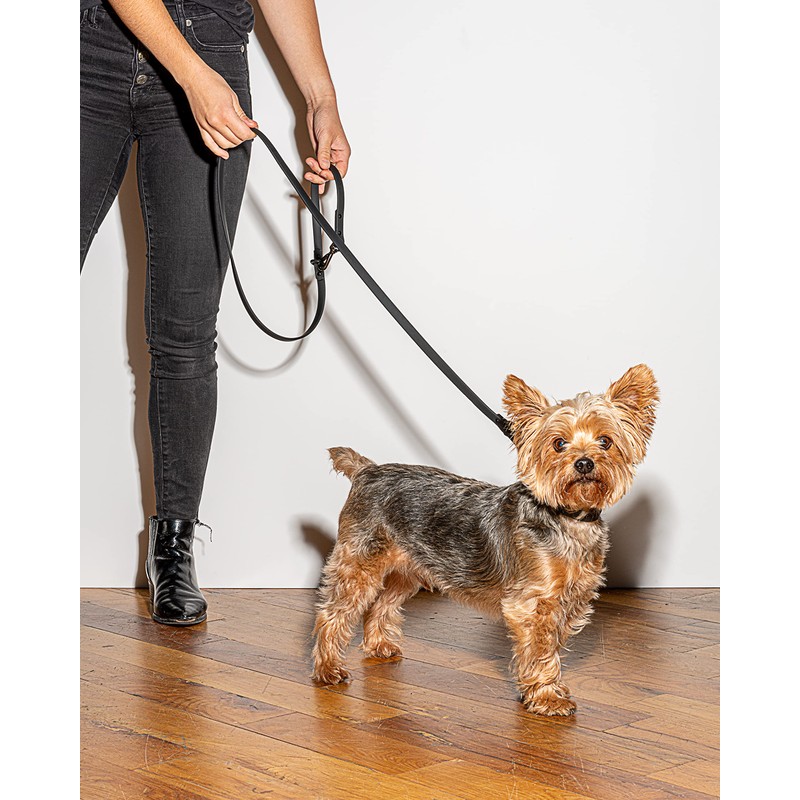 Wild One Leash - Small - Black