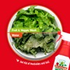Dr. Robaina Fruit & Veggie Wash – Produce Cleaner Spray