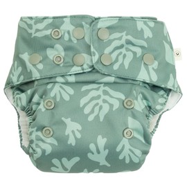 EcoNaps Modern Cloth Nappy 2.0, Sienna
