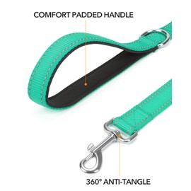 Taglory Dog Leash for Small Dogs, Double-Sided Reflective Leash with Soft Neoprene Padded Handle, 3/4 inch by 4 ft, Fit Small Medium Large Breeds Under 20 lbs, Turquoise