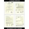 voltX Protective Glasses with Visual Strength incl. Safety cord with