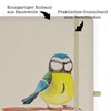 Mr. & Mrs. Panda DIN A5 Baumwoll Notizbuch Vogel Blaumeise