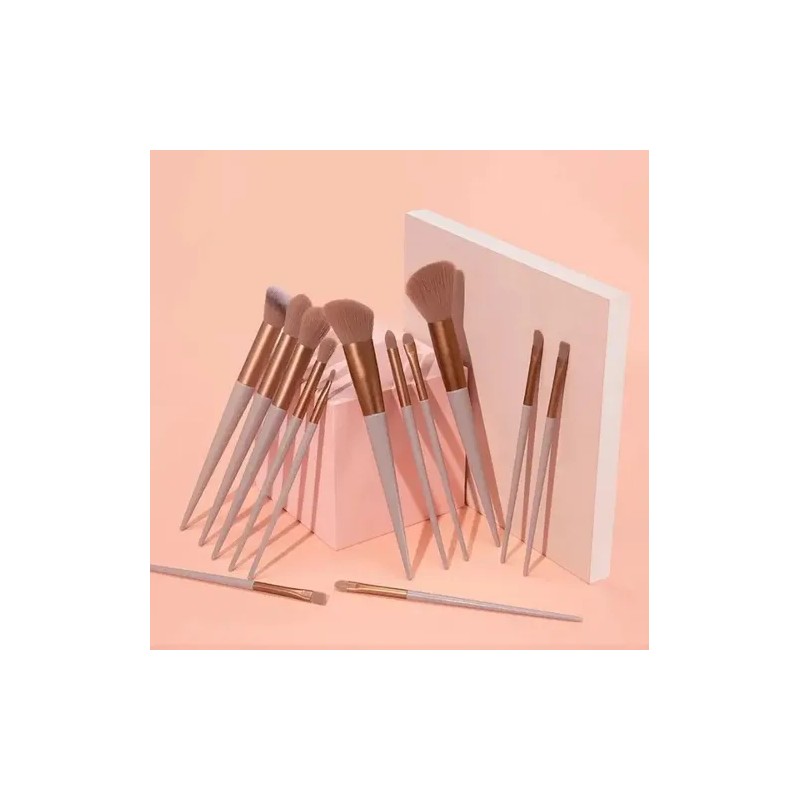 Set 13 Brochas De Maquillaje Profesional Juego De Brochas Color