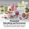 Hamilton Beach Wave Action Blender for Smoothies, Stainless Steel Ice