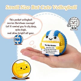 Weming Stocking Stuffers – Mini Crochet Volleyball Plush with Story Sign, Handmade 4-inch, Cute, Kawaii Desk Nightstand Locker Decor, Secret Santa