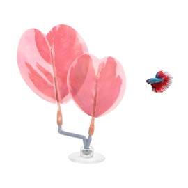 M METERXITY 1-Pack Betta Fish Leaf Pad, Hammock Plant Leaf Pad, Realistic Resting Fish Rest Bed for Fish Tank Decorations/Aquarium Accessories/Spawning Grounds/Breeding [Pink, Heart-Shaped]