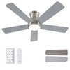 Autoday 42 Inch Low Profile Ceiling Fan with Light, Burshed