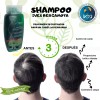 Ives Mexico - Ives Evolution Shampoo Bergamota Coco Hamamelis Romero