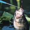 6.8 Inch Fishing Hook Remover Stainless Steel Fishhook Dehooker Hook