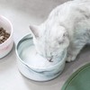 Plato para Perro y Gato de Cerámica Marmolizada con Base