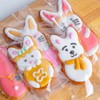 Easter Bunny Cookie Cutter Set, 5 Pieces Easter Bunny Rabbite