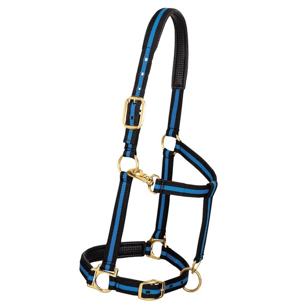 Weaver Leather Padded Adjustable Nylon Horse Halter, Blue, 1" Average Horse